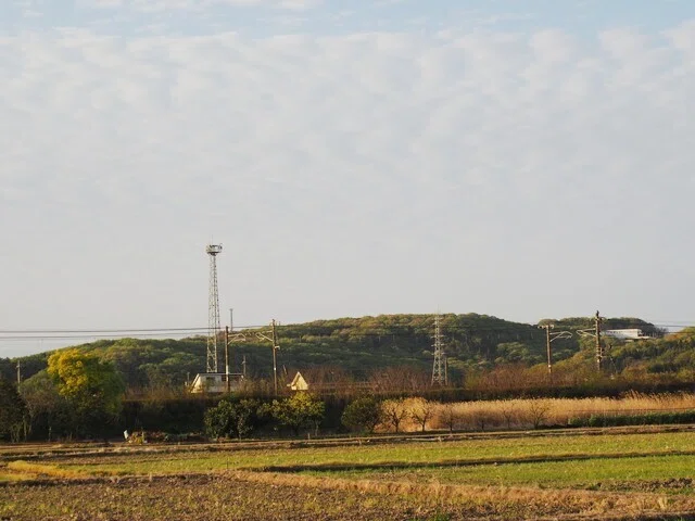 画像15