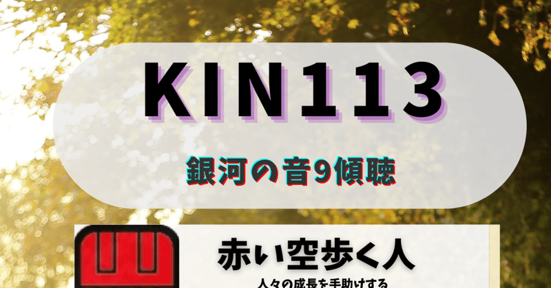 KIN113黒キン