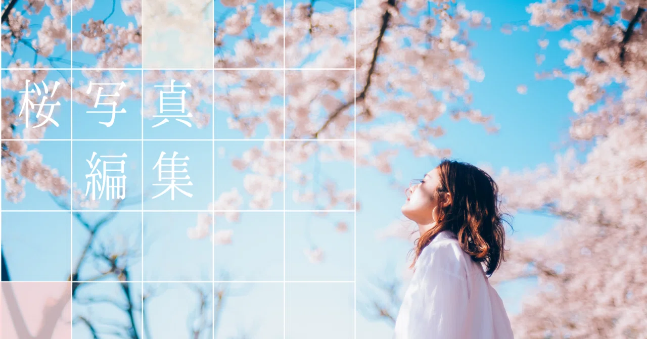 桜写真の編集、お悩みではないですか？｜CURBON｜写真と歩むライフスタイル