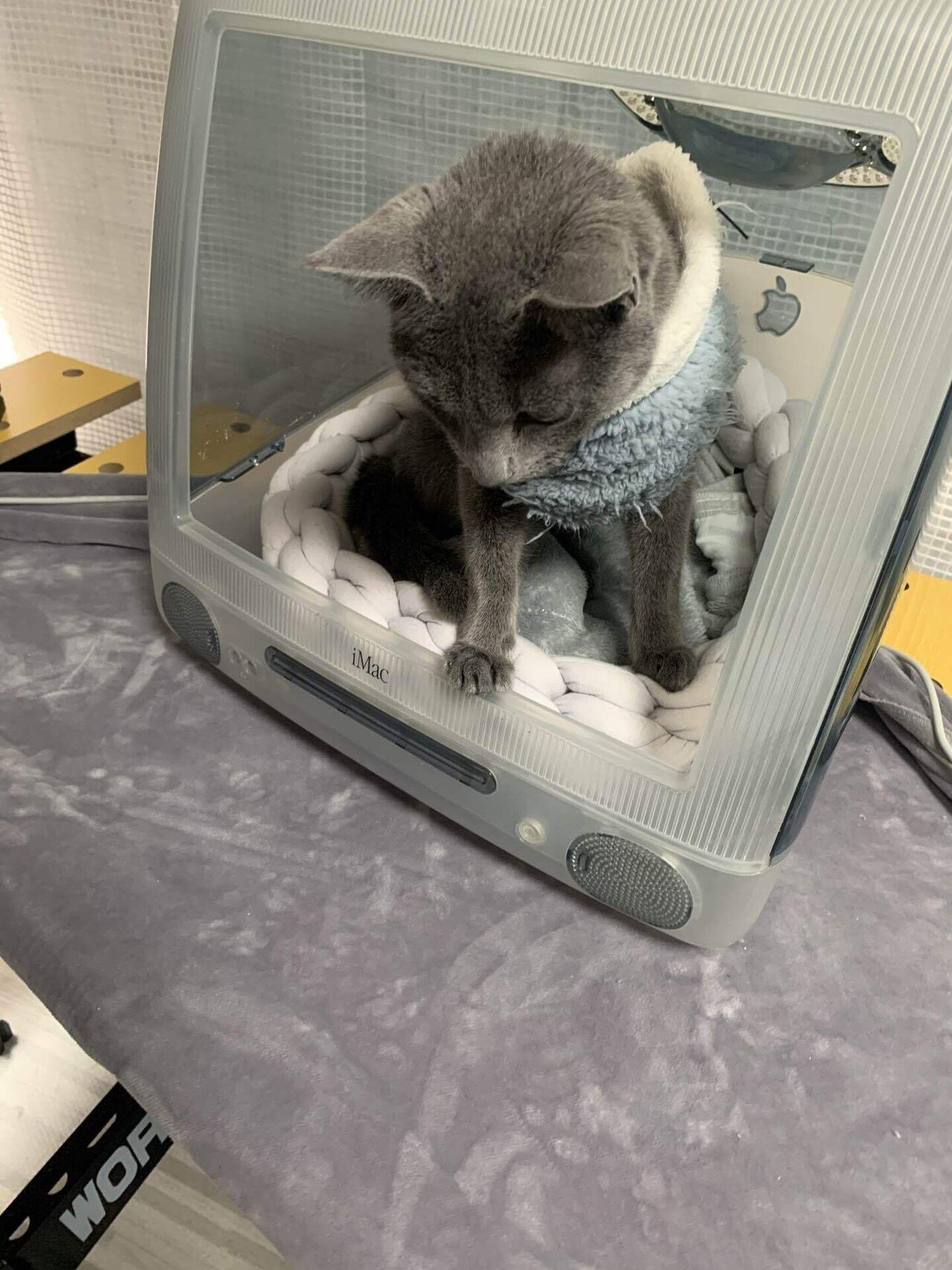 Macでつくる猫部屋】キャットハウス編/分解編|beryls_atelier