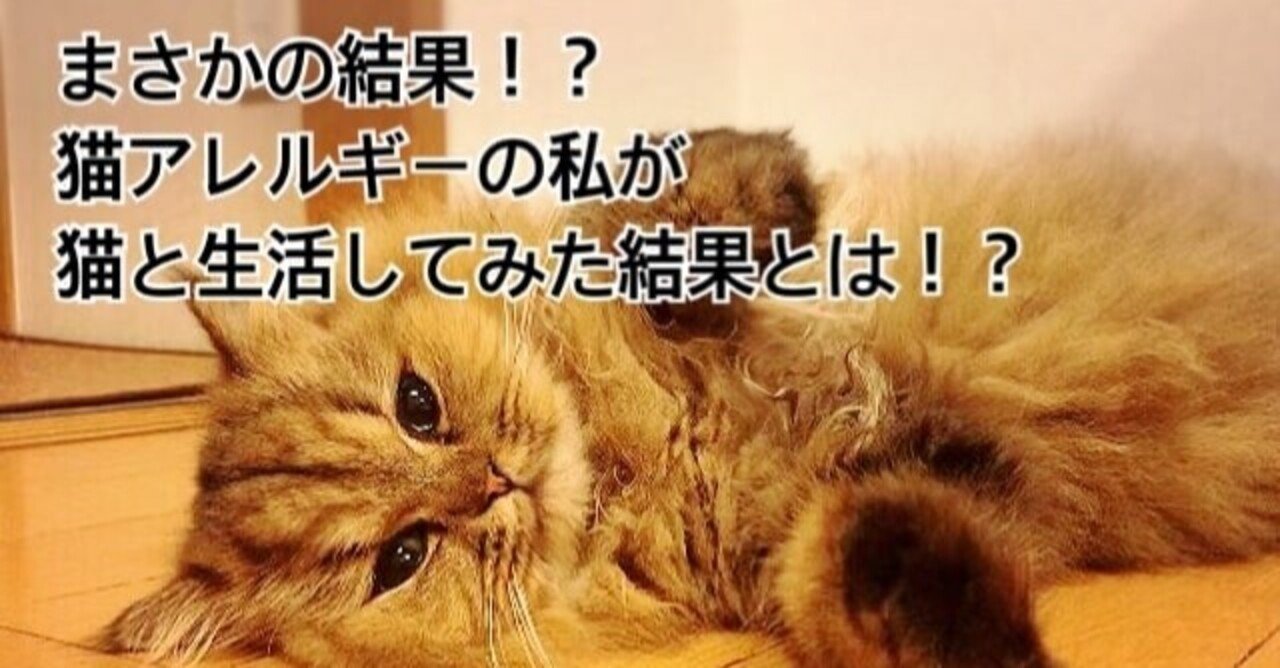 猫 アレルギー まさかの結果 猫アレルギーの私が猫と生活してみた結果とは アル中ホースの勉強部屋 Note