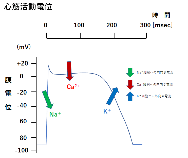 図4