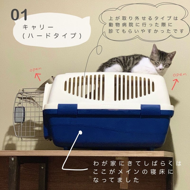 猫との暮らし中で実感した 買ってよかったもの 10選 つじしゅん Note
