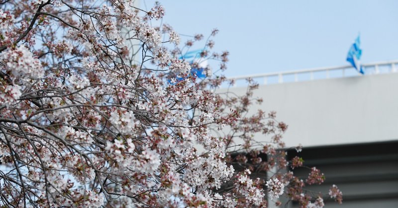4月3日 土 明治安田生命j1リーグ第7節 Vs柏レイソル 横浜fc Official Note 4月3日 土 明治安田生命j1リーグ第7節 Vs柏レイソル 横浜fc Official Note
