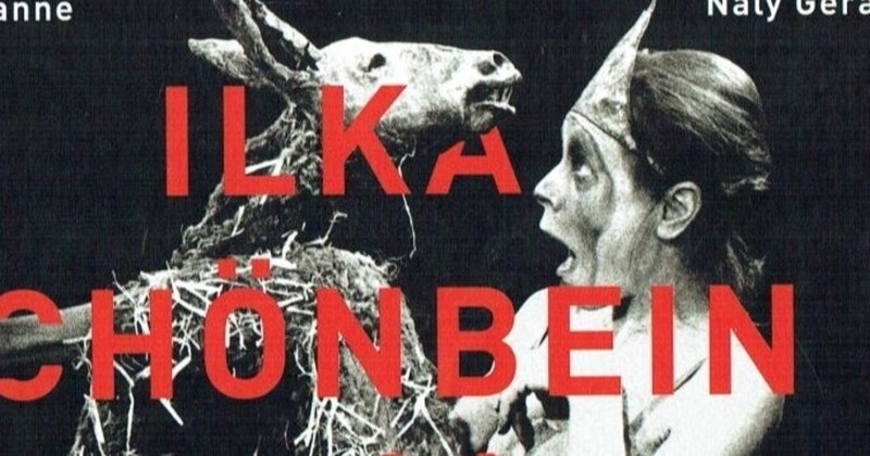 蔵書紹介 Ilka Schonbein Un Theatre Charnel 17年 パペティア ミュージアム Note