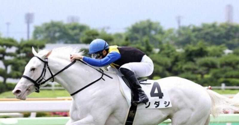 ソダシの他にも しがらきの期待馬 が 競馬探偵kaneko Note ソダシの他にも しがらきの期待馬 が 競馬探偵kaneko Note