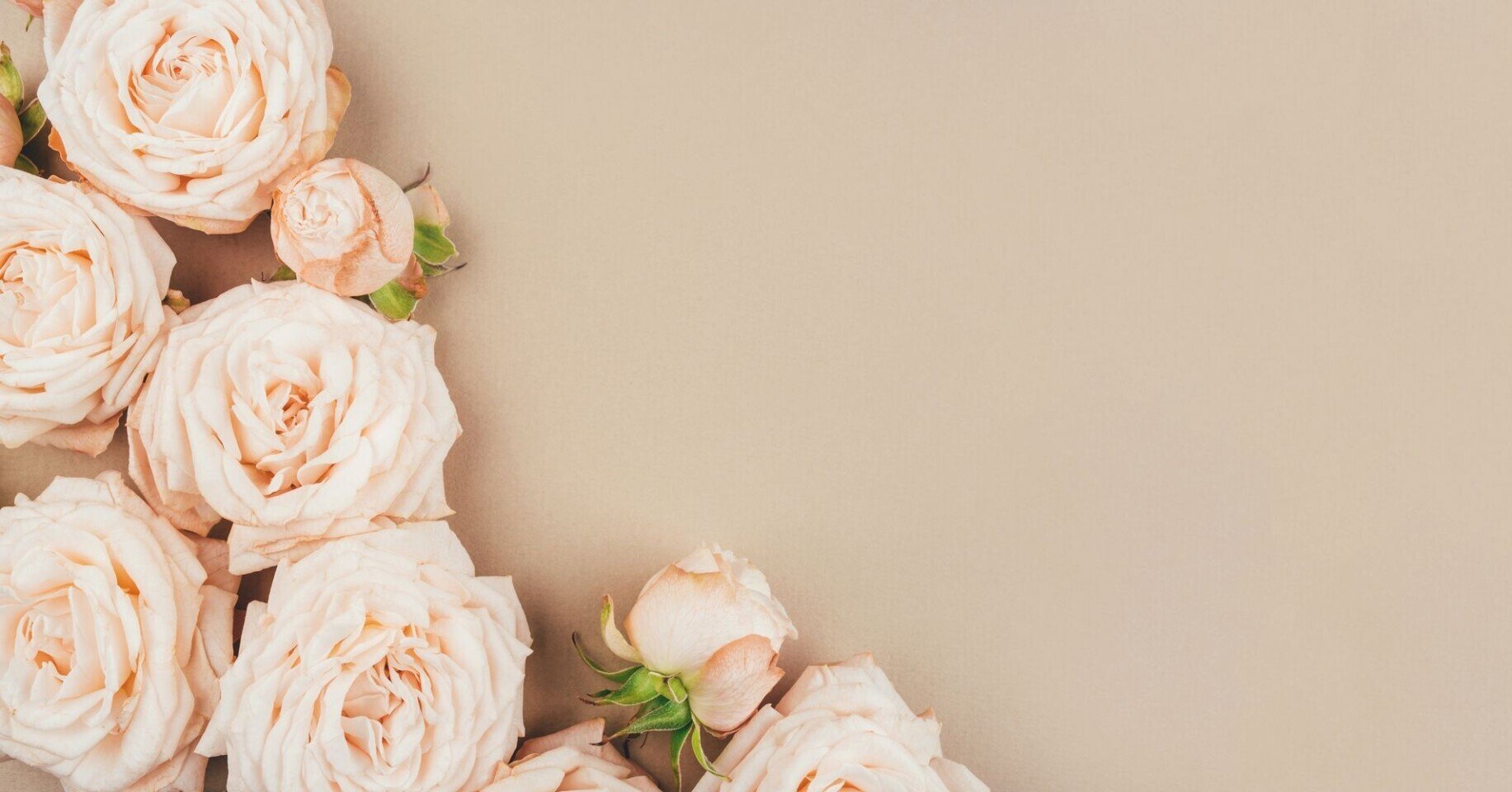 花を持ち歩くとき 下に向けると水揚げが良くなる はウソだった Co コプラス Note 花を持ち歩くとき 下に向けると水揚げが良くなる はウソだった Co コプラス Note