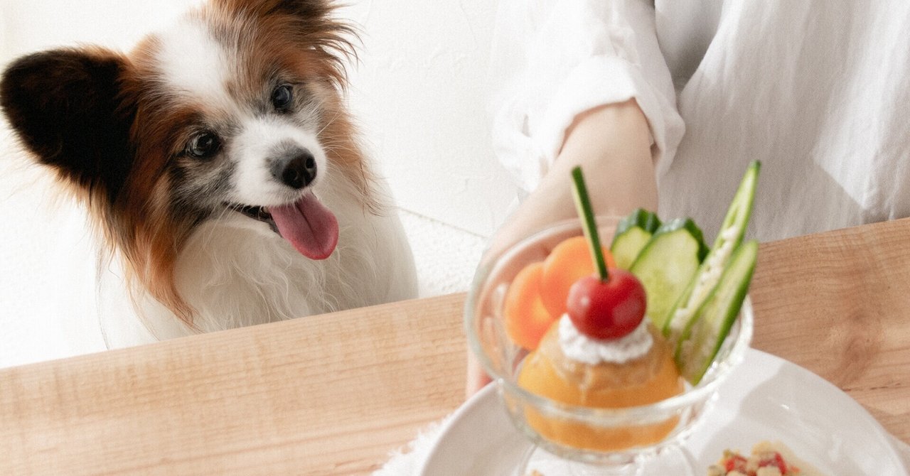 犬の誕生日にも 野菜で作るプリンアラモード 手作り犬おやつレシピ 犬ごはん先生いちかわあやこ Official Web Site 犬の誕生日にも 野菜で作るプリンアラモード 手作り犬おやつレシピ 犬ごはん先生いちかわあやこ Official Web Site