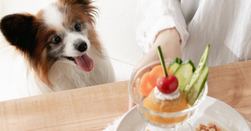 野菜で作るプリンアラモード 手作り犬おやつレシピ 単品購入 いちかわあやこ 犬ごはん先生 Note