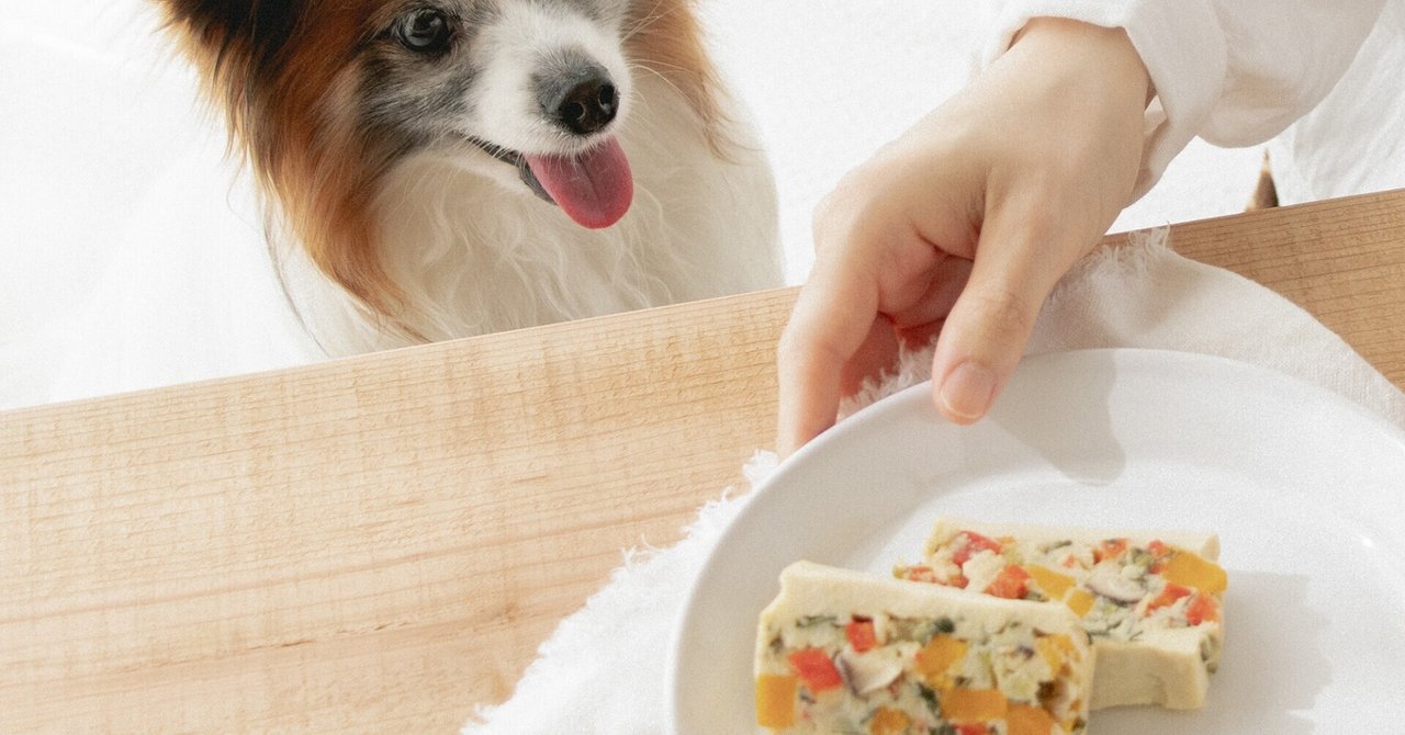 サンドイッチ風犬ごはん 高野豆腐のテリーヌ 月額限定 手作り犬ごはんレシピ 犬ごはん先生いちかわあやこ Official Web Site サンドイッチ風犬ごはん 高野豆腐のテリーヌ 月額限定 手作り犬ごはんレシピ 犬ごはん先生いちかわあやこ Official Web Site
