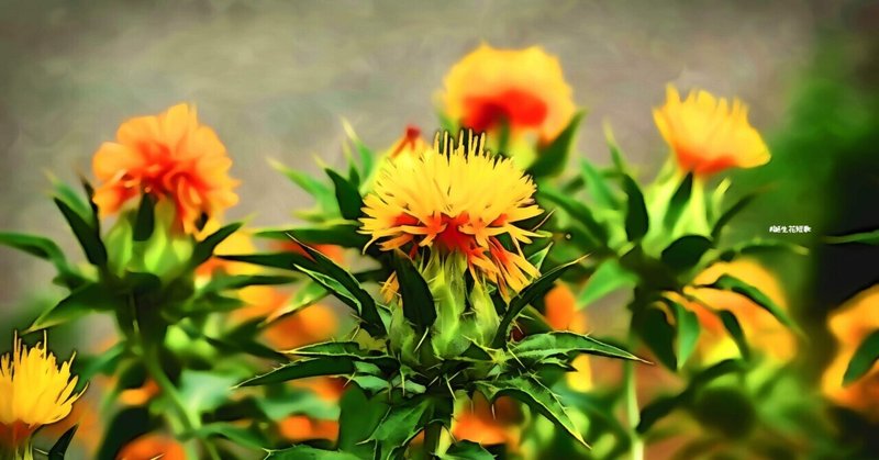 4月6日 誕生花は末摘花 誕生花短歌 御子柴 流歌 Note
