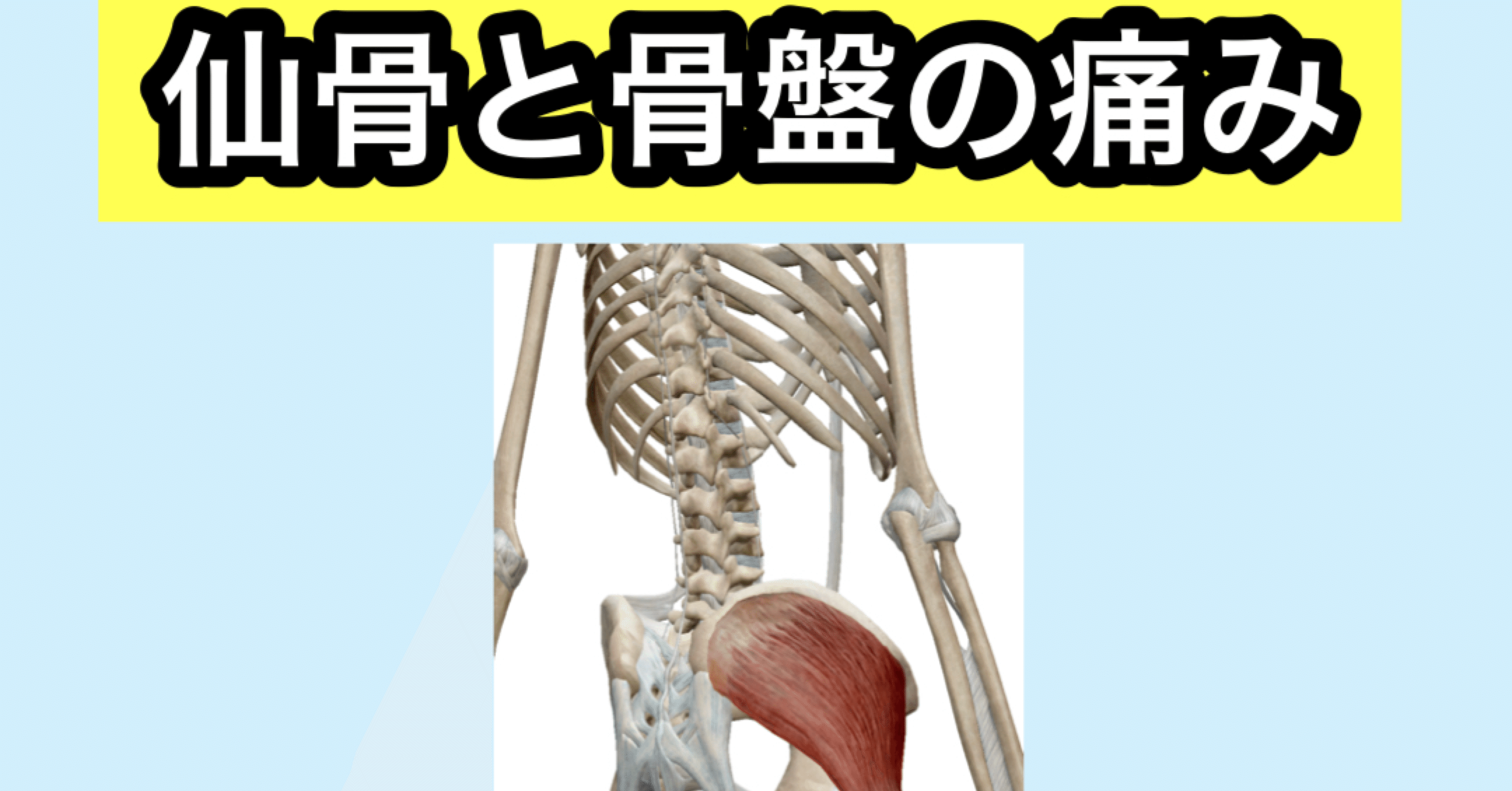 仙骨と骨盤の痛み 金沢市 痛み専門整体 整体院 空 Note 仙骨と骨盤の痛み 金沢市 痛み専門整体 整体院 空 Note