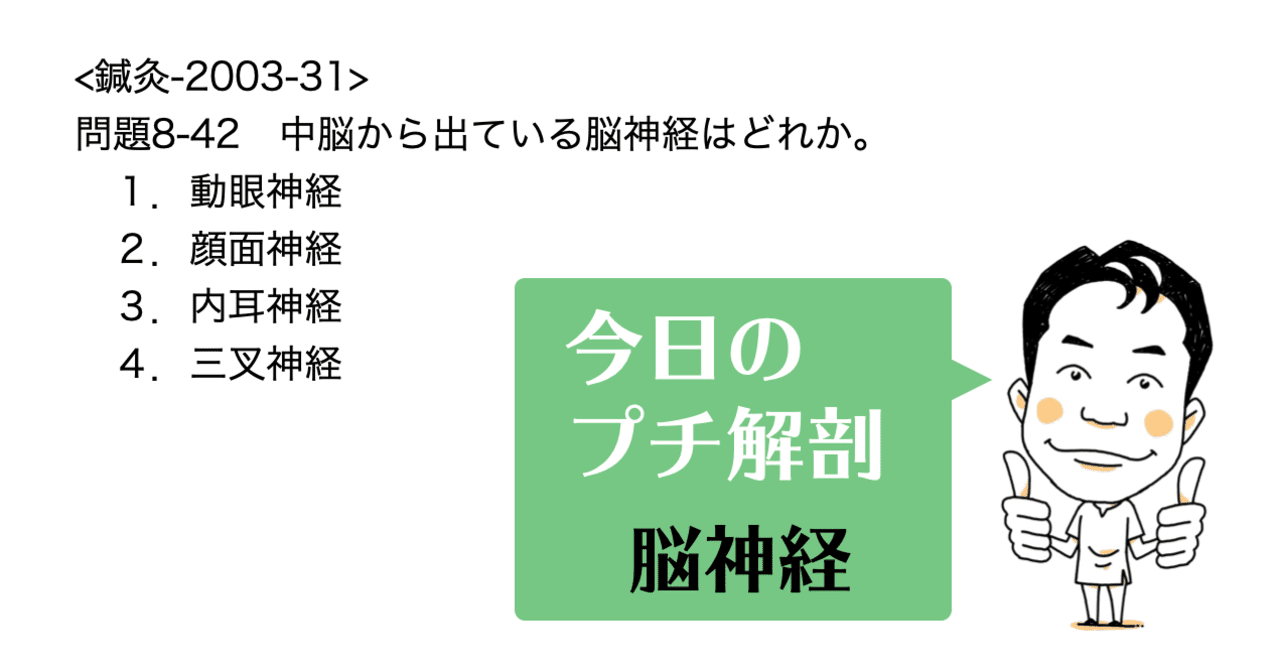 今日のプチ解剖 中脳から出ている脳神経はどれ 黒澤一弘 Note