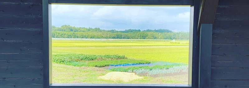政策参与のおはなし