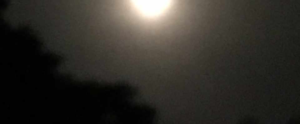 当たらない第957回toto予想 当たらない予想 Note