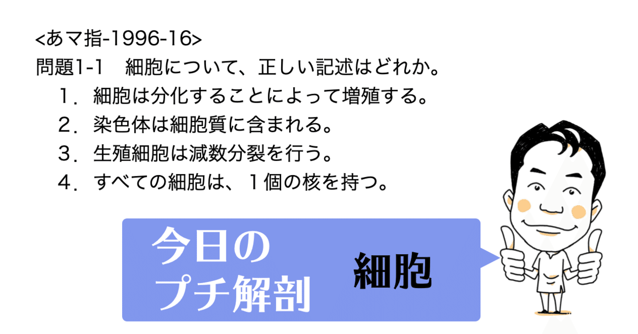 今日のプチ解剖 細胞について正しい記述はどれ 黒澤一弘 Note