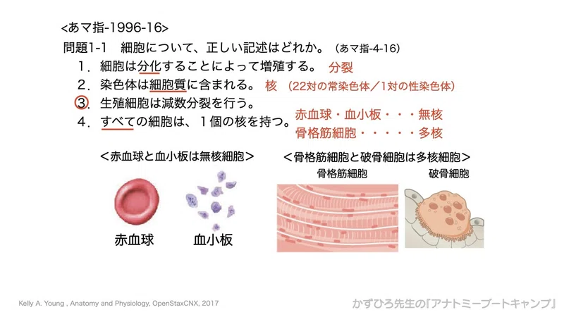 道 言及する 遅い 遺伝子 について 正しい の は Mac Intl Jp