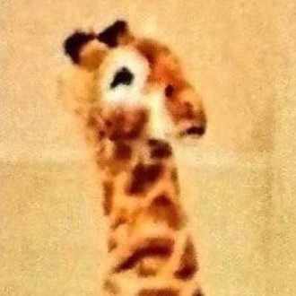 弓道 Travis Japan ゆ Note