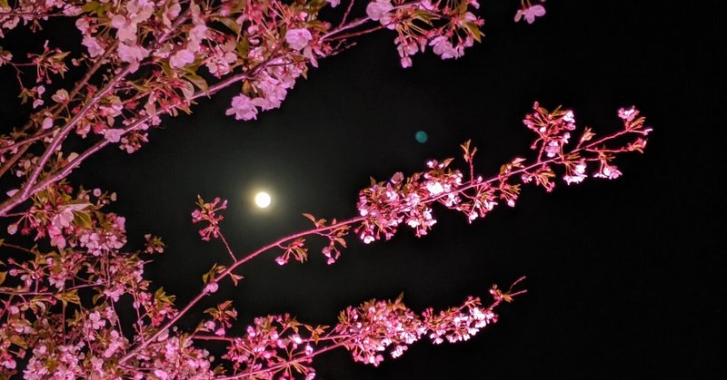 「いつかは いつかは サクラの花咲く
満月の元へと」