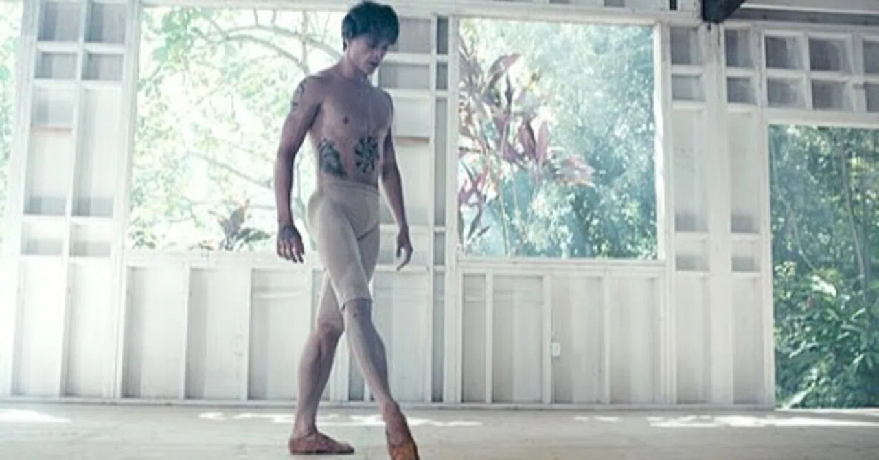 Reflections on Sergei Polunin, the World