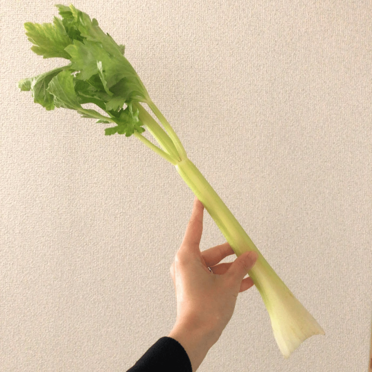 生米からつくる セロリ粥 のレシピ お粥研究家 鈴木かゆ Note