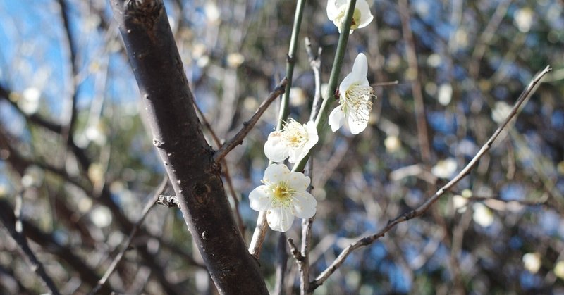 いざというときに頼りになる人 頼りにならない人 きょうすけ note