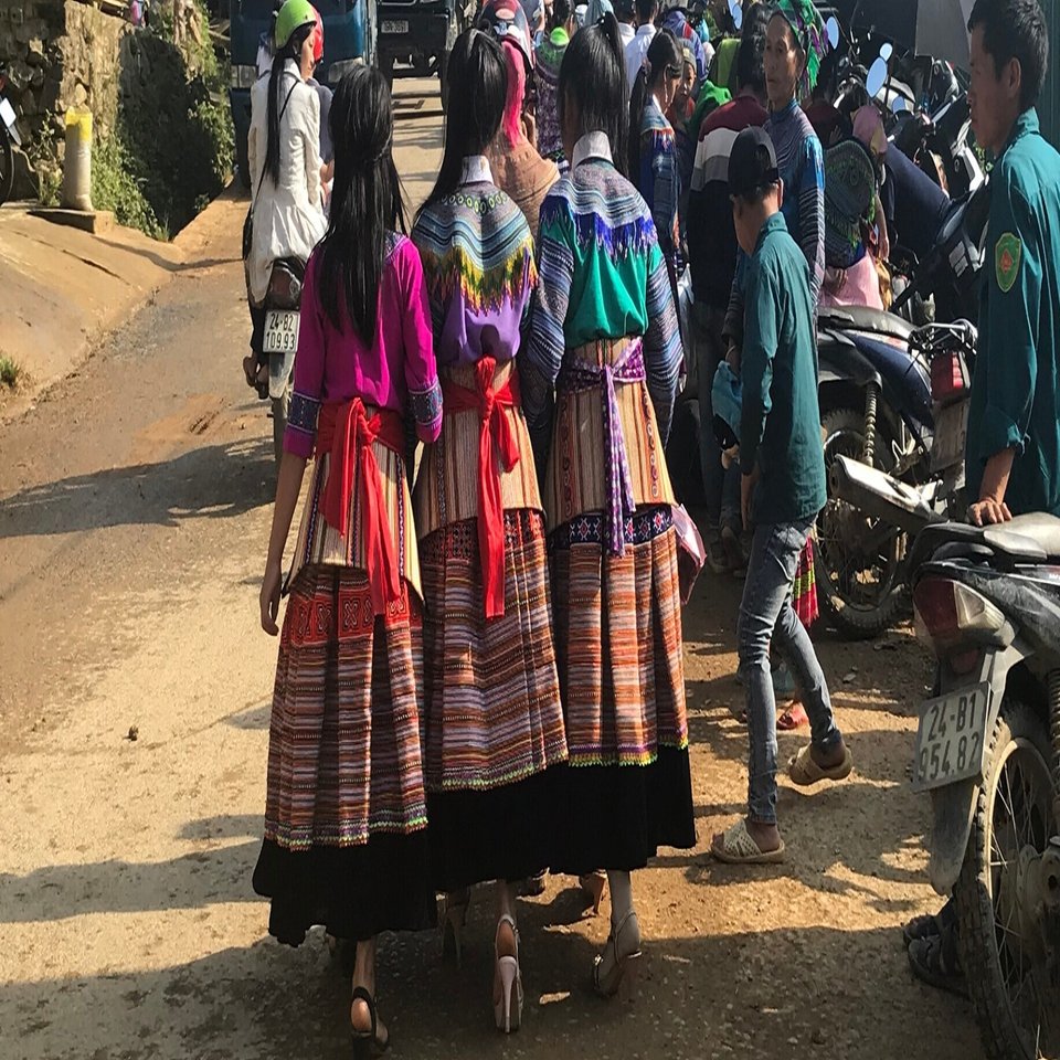 場合の数の数え方 と 確率の数え方 の違い｜大森 武