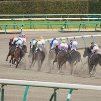 思いつき Wordpressで海外向けたブログを書く 英語圏でガラガラポン って言葉を流行らせたい Garapei Note