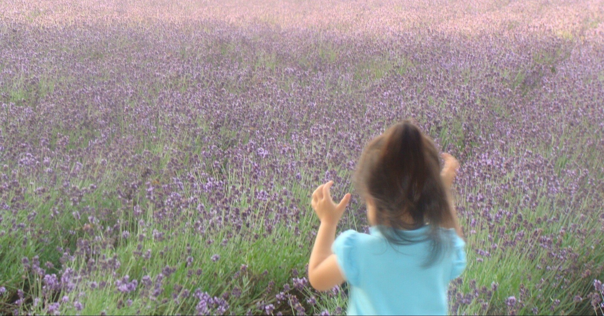 キッズモデルみたいな子供が欲しかった みくりや佐代子 Note キッズモデルみたいな子供が欲しかった みくりや佐代子 Note