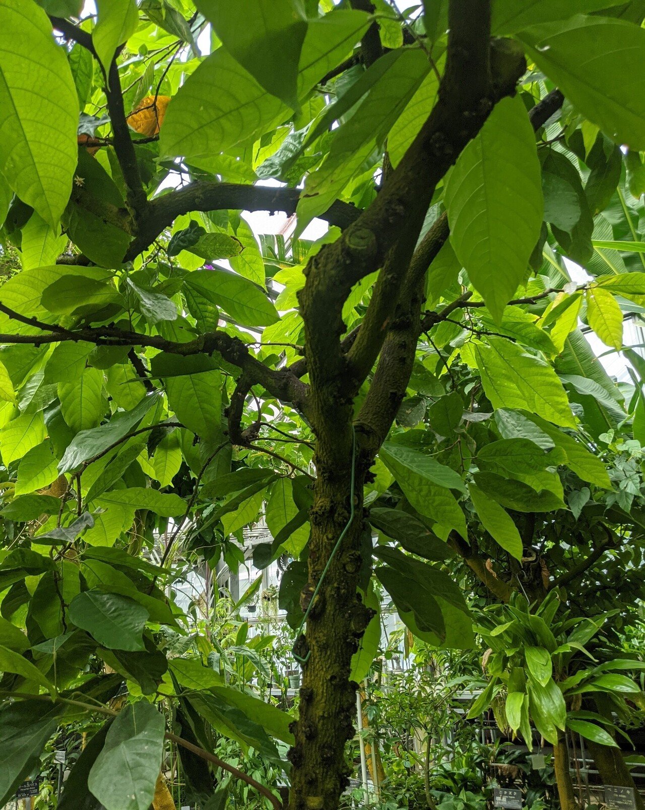 かわいそうだと思うことこそ 失礼な話 あまきょうこ Note