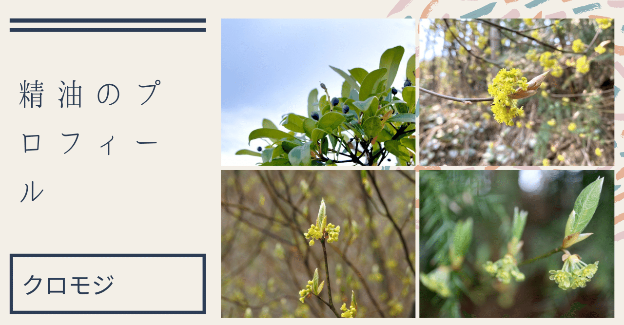 精油のプロフィール クロモジ あんじゅ こころをラクにする5つの道具教えます フォロバ100 Note