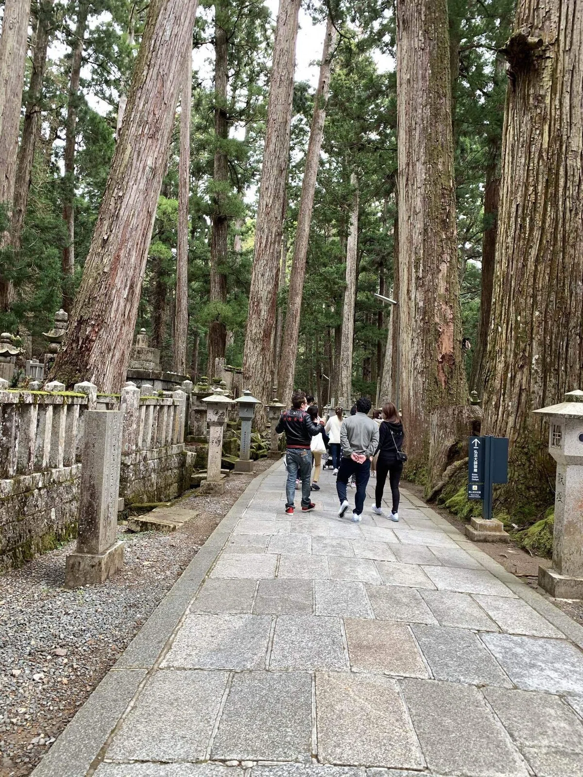 画像11