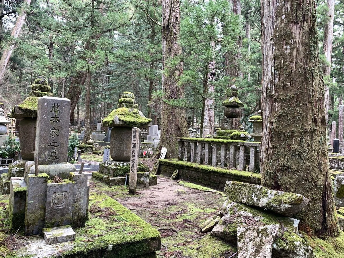 画像12