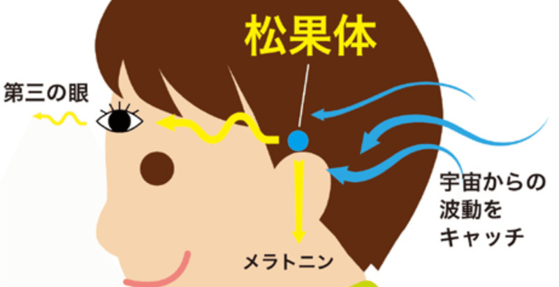 第三の目を開眼させよ あなたの人生は大きく変わっていく Napoptosisの部屋 メタラーメン野郎 Note