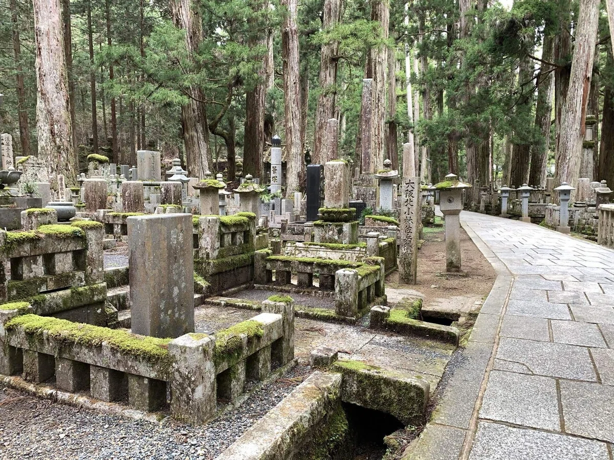 画像13