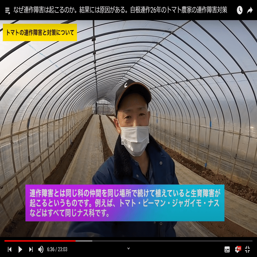 連作障害ってなんで起こるの 連作障害の原因と対策 トマト 井上寅雄農園 井上隆太朗 Note