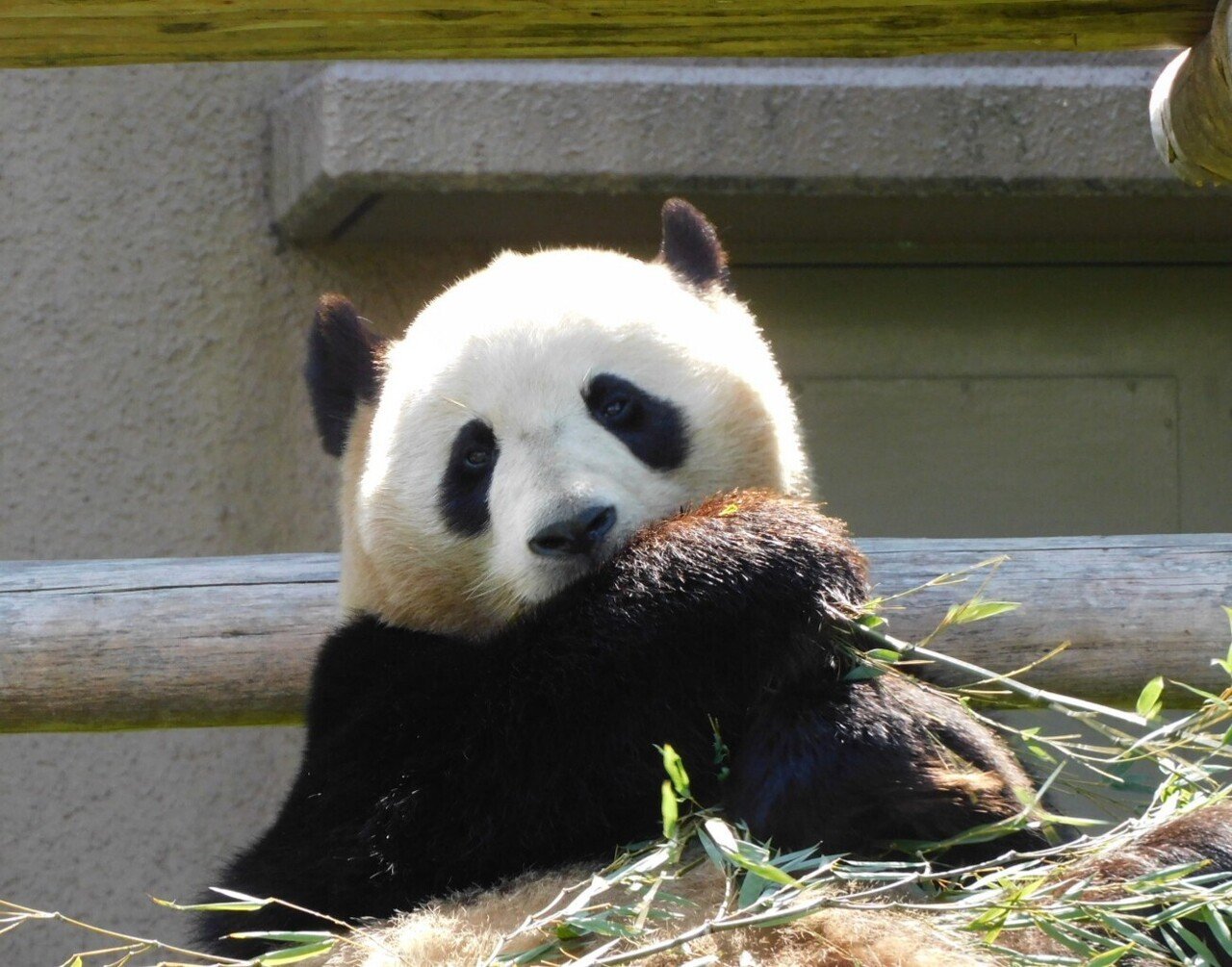 特別なキミ 結浜 りこひん Note