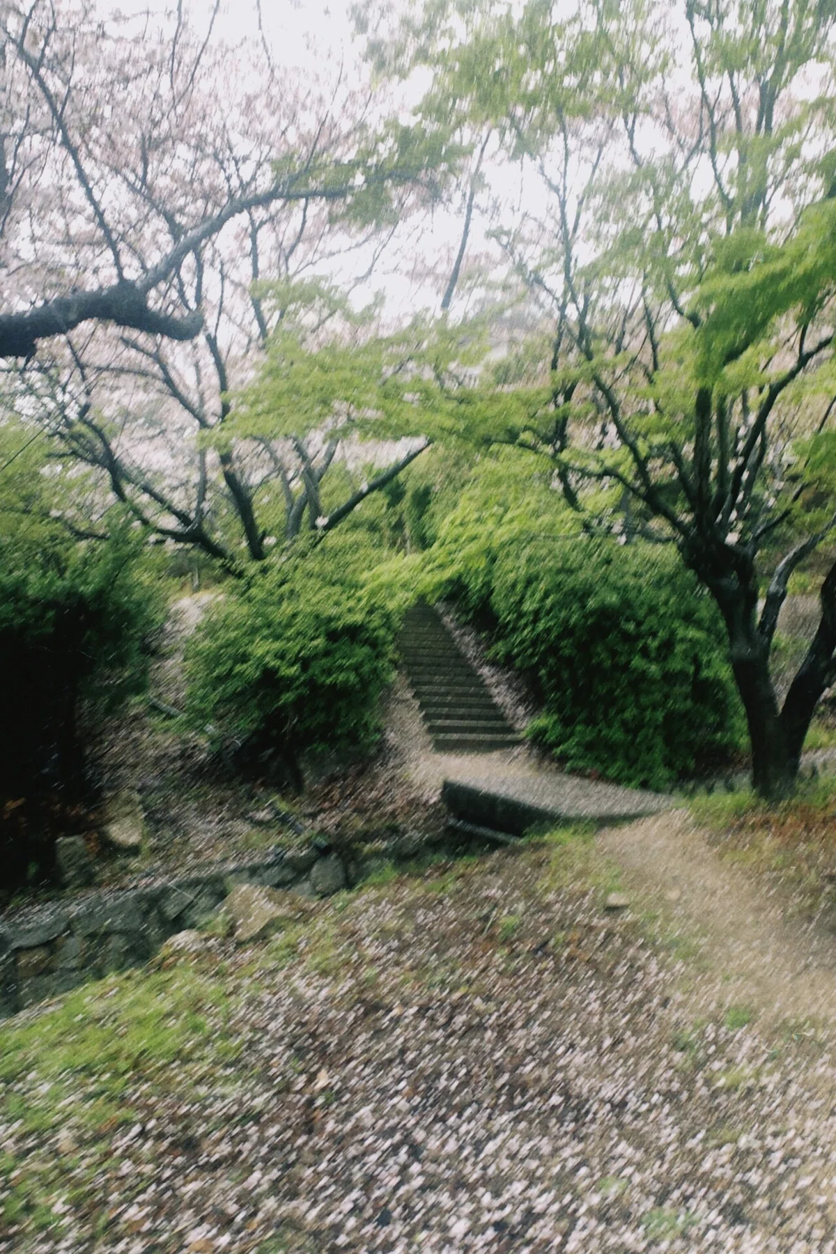 画像13