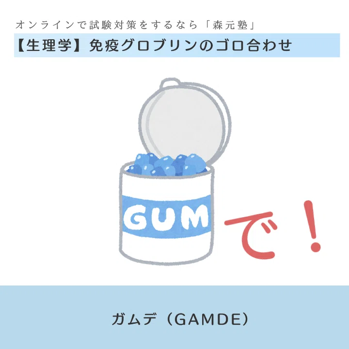 生理学 図解 イラスト とゴロで簡単 免疫グロブリン Iggamde の覚え方 森元塾 国家試験対策 Note