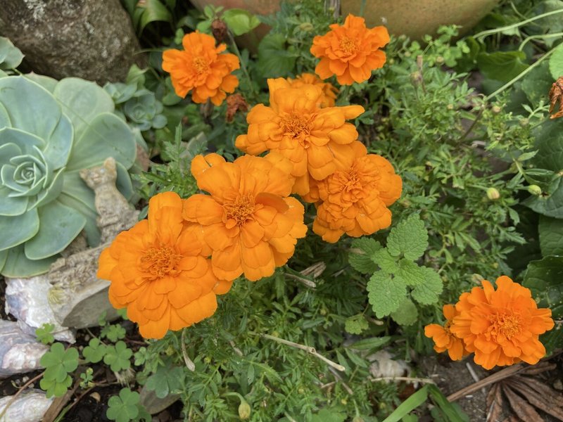 ０ 何のために書いているか Takashi Aota Note