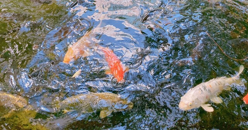 井戸に毒 のパロディ投稿した人間を朝日新聞が取材するも どのように自分たちのストーリーに合わせた記事に誘導 改変するかを暴露されてしまう 田山たかし note