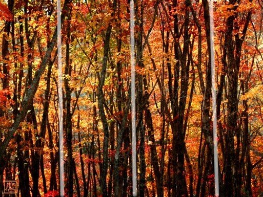 構図には 性格 がある２ 構図の話３ 基礎理論その２ 伊集院秀麿 生活哲学の求道中 Stage 6 Season1 Note