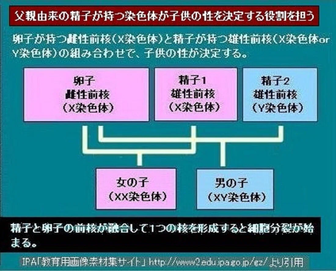 隔世 遺伝