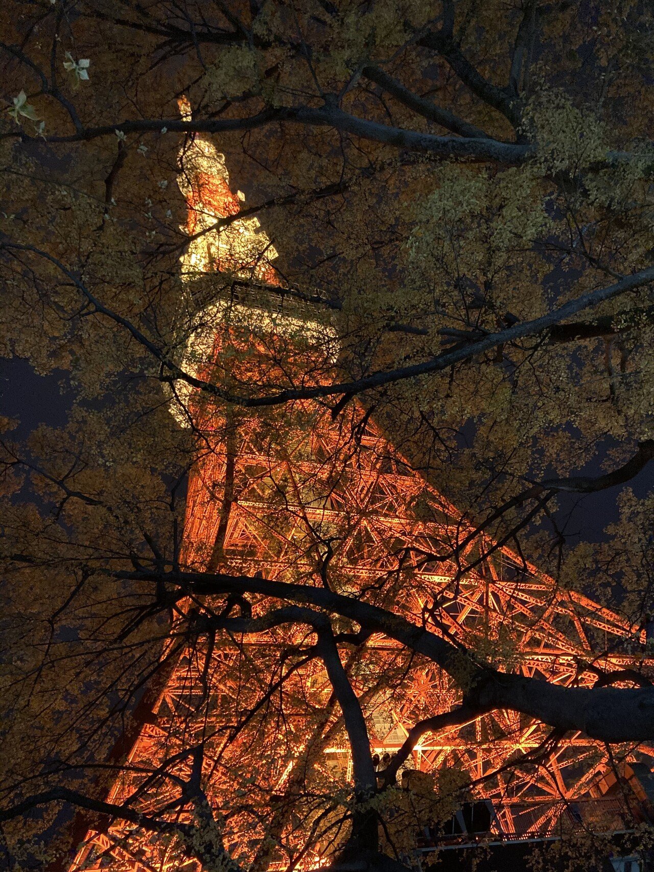 初単独ライブまであと1週間