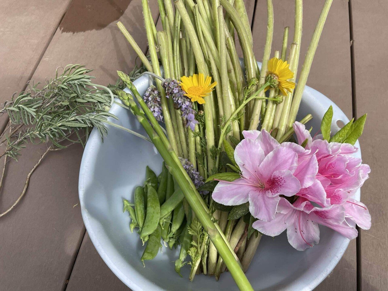 今日の収穫 庭の花 Note