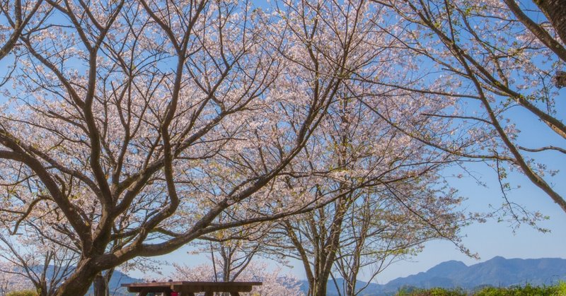 岐阜県飛騨地域の結婚相談所リチェネット