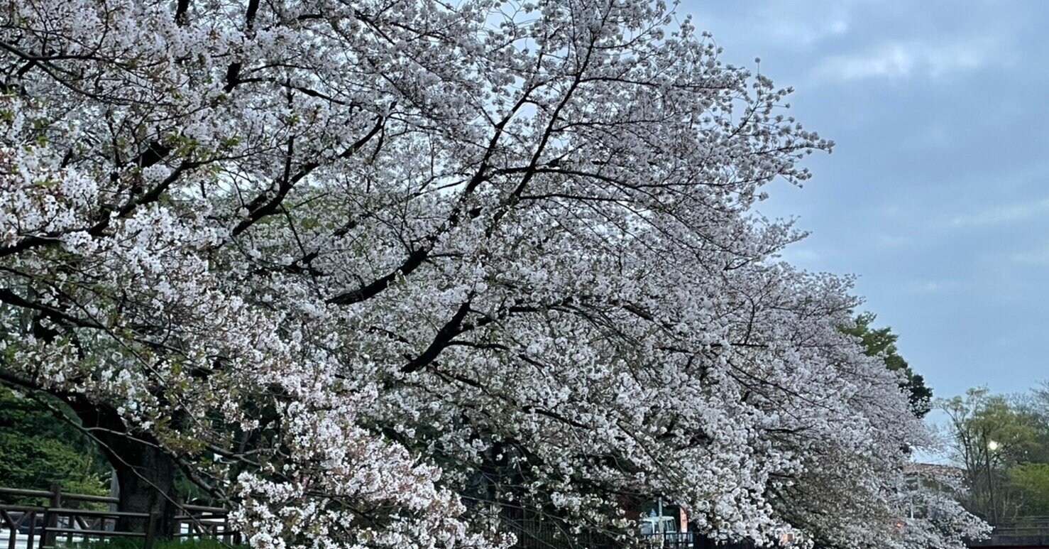 春らしいけど春が来ない時に春を呼ぶ まほうの言葉 長野 僚 Note 春らしいけど春が来ない時に春を呼ぶ まほうの言葉 長野 僚 Note