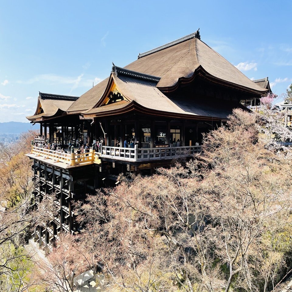 清水の舞台から飛び降りるような旅をした 清水寺 C 武居妥奈 美術館巡りオタク Note