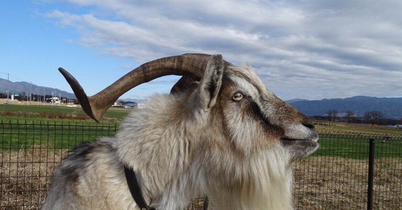 ZASO:049】長野県 #グリーンファーム動物園｜ZASOちゃんねる