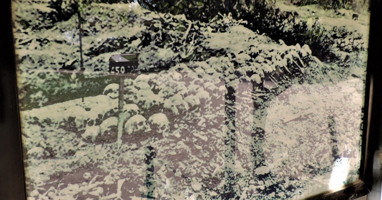 胸をえぐられる史上最悪の狂気 キリングフィールド 浅地亮の自転車旅で見る世界 Note 胸をえぐられる史上最悪の狂気 キリングフィールド 浅地亮の自転車旅で見る世界 Note